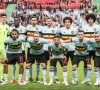 Bij een Brexit zouden Belgische spelers problemen kunnen krijgen om in de Premier League aan de slag te kunnen