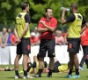 Zo wuift Marc Wilmots de favorietenrol van de Rode Duivels op het EK weg: "Dat is onmogelijk"
