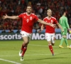 Euforie in Wales: Together Stronger, het dansje van Ledley en... de penislengte van Hal