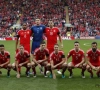 📷 Daar is Wales, daar zijn de opvallende teamfoto's