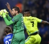 Toekomst in Genk? Mathew Ryan is duidelijk