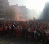 Kampioenenfeest Antwerp volop aan de gang: volg het hier op de voet!