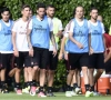 'AC Milan plant nieuwe topaankoop en heeft miljoenen over voor speler van FC Bayern München'