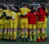 Auwch: enorm seksistisch voetbalspel wordt uit de rekken gehaald
