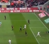 ? FC Köln zet fameuze reddingsoperatie in Duitsland verder met nieuwe zege (al kwam die er wel met 'beetje" hulp van klungelend Leverkusen)