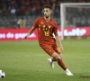 Roberto Martinez haalt na lange afwezigheid Adnan Januzaj opnieuw vanonder het stof