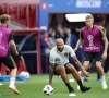 De sfeer is goed! Toby Alderweireld jent de grote Thierry Henry op Twitter 