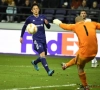 Wat is er nu juist aan de hand met dat veld van Anderlecht? Rottende wortels