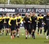 De prognose van de redactie: wat mogen we dit seizoen verwachten van Sporting Lokeren?