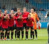 Van de groepsfase van de Champions League tot de Spaanse derde klasse: de terugkeer van RCD Mallorca 