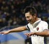 Sint-Truiden heeft Japanse spits beet