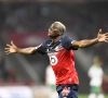 Lille vindt de opvolger van Osimhen ook in Jupiler Pro League