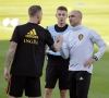 Toby Alderweireld spreekt vol lof over Roberto Martinez