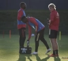 Naast Hazard en Van Crombrugge ontbreken er nog 14 Rode Duivels op training