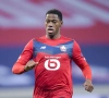 Twee goals van Jonathan David onvoldoende om Lille de zege te geven