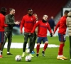 Zorgwekkend: Moussa Dembélé stuikt in elkaar op training bij Atlético Madrid