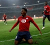 Lille ziet in JPL-spits de ideale opvolger voor vertrekkende Jonathan David
