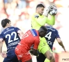 "Hij is helemaal geen voetbalsupporter": man kent straf na gevecht in nasleep van Kortrijk - Zulte Waregem