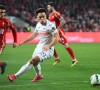 Zorgen voor Anderlecht groot: meer details over blessures Stroeykens en Rits