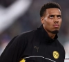 Borussia Dortmund grijpt in en gaat online posts van broer van ex-Anderlecht-speler controleren