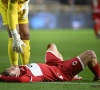 Fikse domper voor Antwerp: Stef Wils ziet basisspeler geblesseerd uitvallend tegen Cercle
