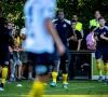 OFFICIEEL: Sporting Lokeren heeft een nieuwe sportief directeur én het is een gekende naam