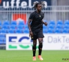 Twee Belgen én de broer van een Club Brugge-speler dwingen de promotie af naar de Serie A