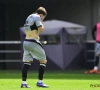 Vanhaezebrouck heeft raad voor Cvetkovic: "Dan krijgt Van Der Heyden geel"