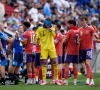 Frustratie bij Europese fans groeit door nieuwe WK-regel: "Dit gaat enkel over geld"