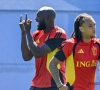Ook op dinsdag match voor Rode Duivels: Lukaku toont zich, Fernandez-Pardo scoort