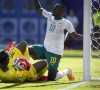 Hoe parcours van Senegal doet denken aan ... België