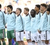 Belg uit technische staf van de Rode Duivels trekt naar Premier League