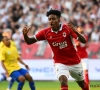 Zware domper voor Antwerp: zomeraanwinst in tranen van het veld