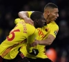 'Richarlison gaat medische testen ondergaan bij nieuwe club'