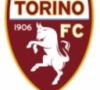 Torino overtuigd van Dzemaili