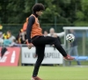 Fellaini herademt na rotseizoen: "Maar ik heb aan niemand nog iets te bewijzen"