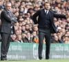 Tim Sherwood blijft actief in Premier League