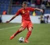Alderweireld: "Kansen tegen USA zijn 50-50"