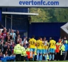 Crystal Palace gaat met de winst aan de haal bij Everton