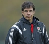 Bondscoach Wales: "België behoort tot beste teams ter wereld"