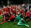 EK-ganger Wales in statistieken