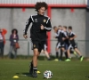 'Drie jonge talenten krijgen volgend seizoen nieuwe kans bij RSC Anderlecht, twijfels rond vier anderen'
