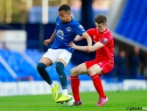 Everton-Belg dikt het lijstje landgenoten in de Premier League nog wat aan