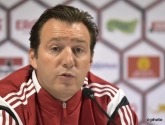 Snoeiharde kritiek op Gillet en op Wilmots