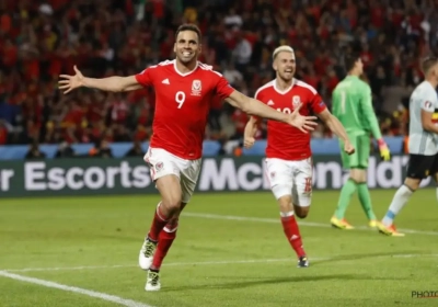 Euforie in Wales: Together Stronger, het dansje van Ledley en... de penislengte van Hal