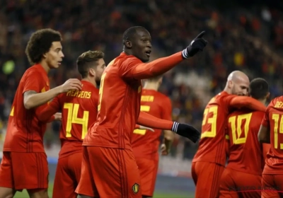 "Romelu is wereldklasse op zijn manier"