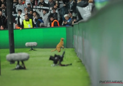 ? Opvallende bezoeker in Besiktas-Bayern, UEFA reageert met boete