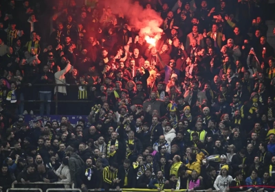 Deze straf riskeert Anderlecht na gevecht in tribunes tijdens wedstrijd tegen Fenerbahçe