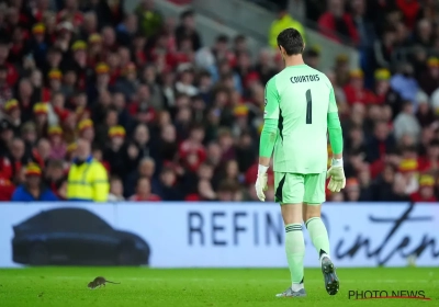 📷 Vreemd moment bij match Rode Duivels: Courtois wou ingrijpen en iedereen in het stadion begon te lachen 