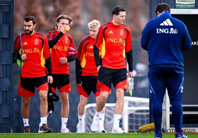 Romeo Vermant verrast met uitspraak over Rode Duivels